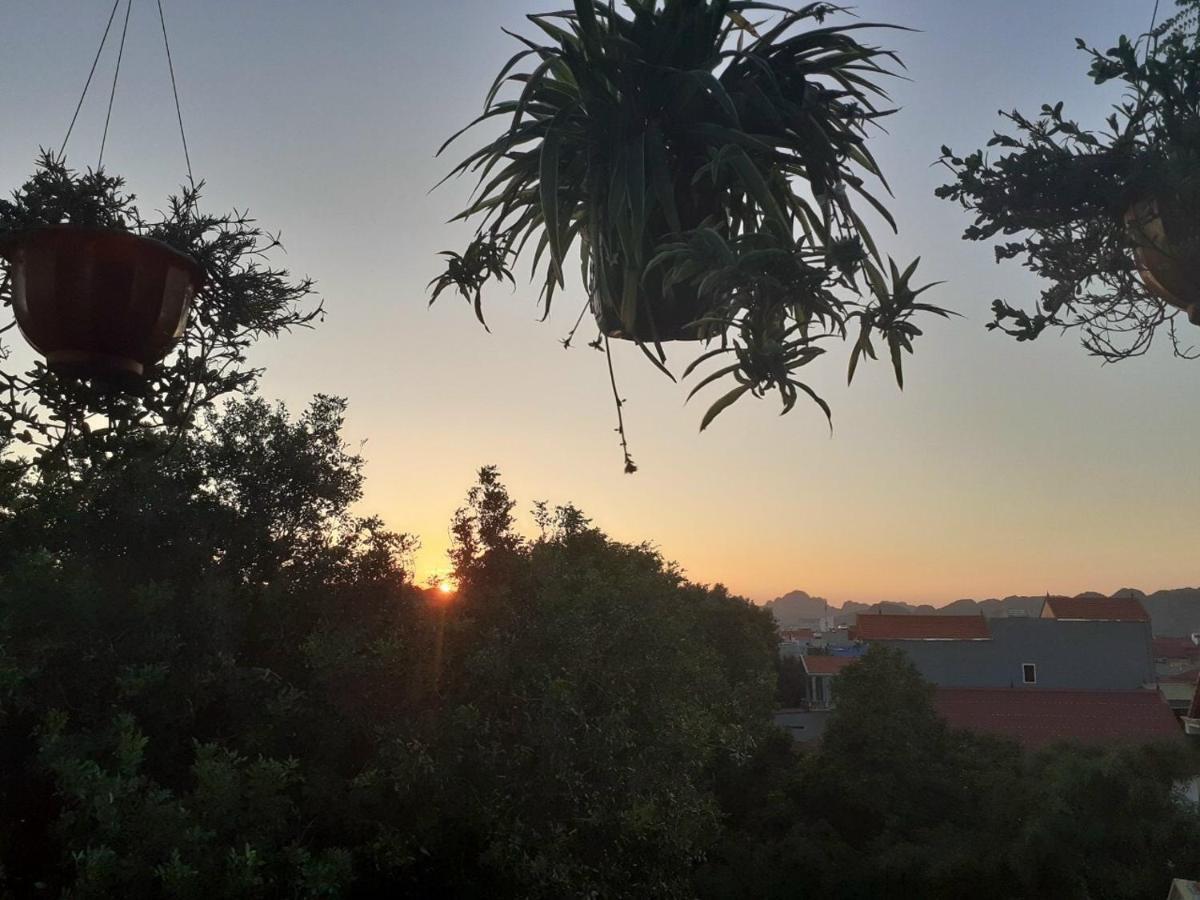 Tam Coc Sunset Homestay Ninh Binh Bagian luar foto