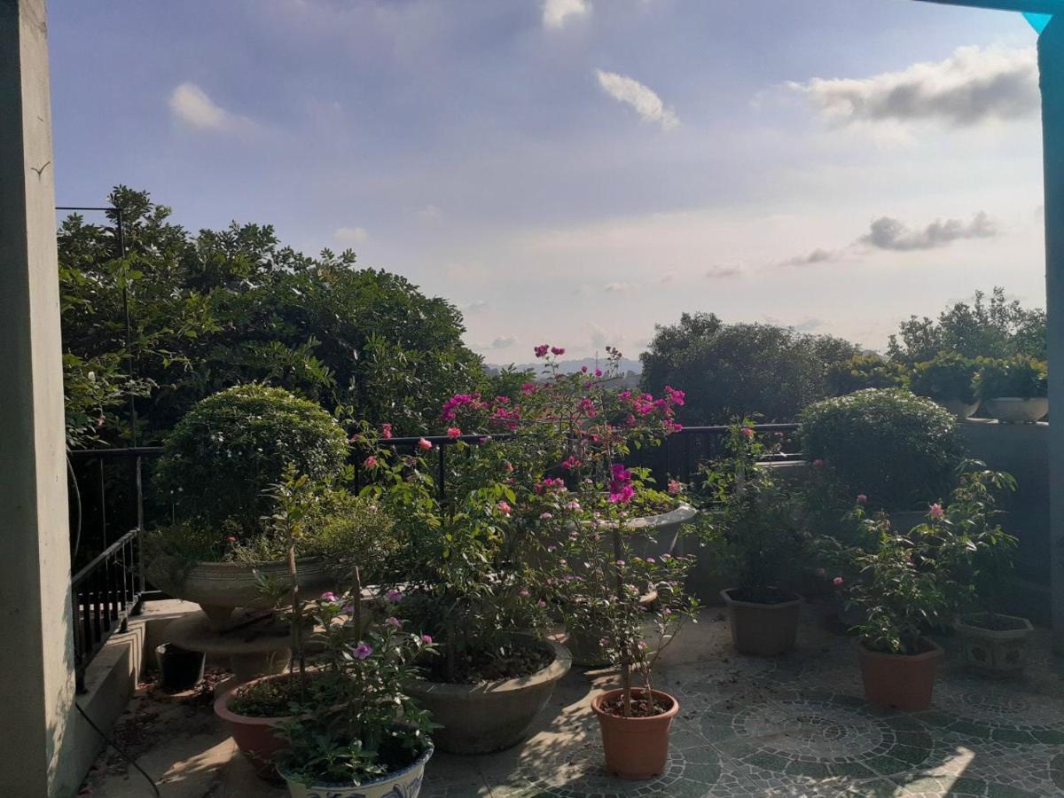 Tam Coc Sunset Homestay Ninh Binh Bagian luar foto